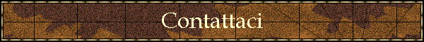 Contattaci