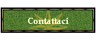 Contattaci