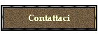 Contattaci