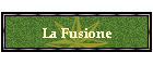 La Fusione