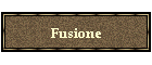 Fusione