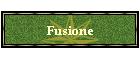Fusione