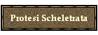 Protesi Scheletrata