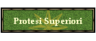 Protesi Superiori