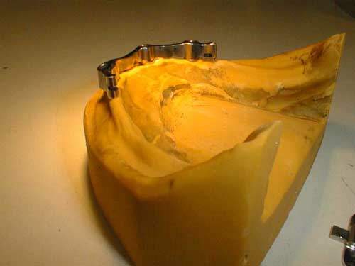 forichiavsuprimaria.JPG (13484 byte)