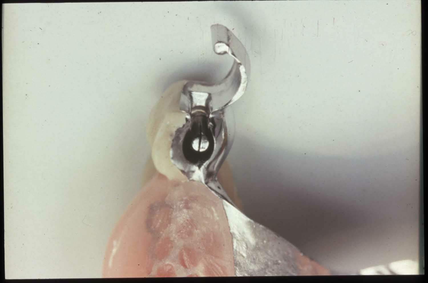 part perno sup copia.JPG (55666 byte)